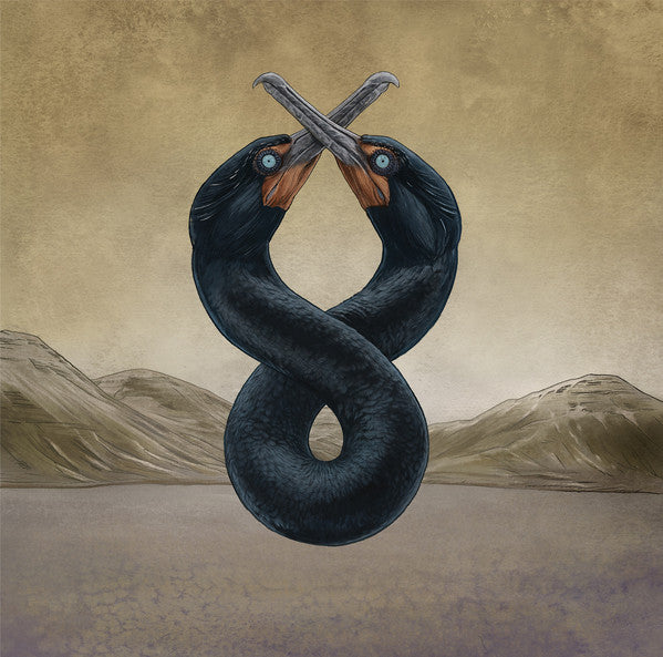 San Fermin : The Cormorant I & II (LP)