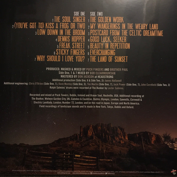 The Waterboys : Good Luck, Seeker (LP, 180)