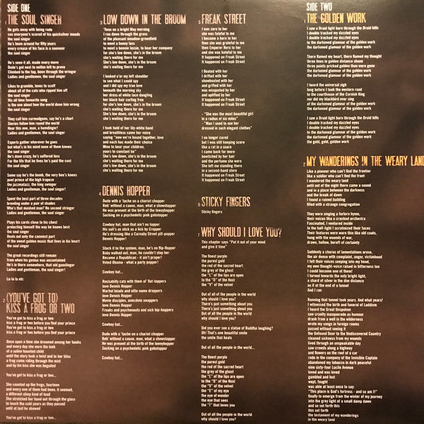 The Waterboys : Good Luck, Seeker (LP, 180)