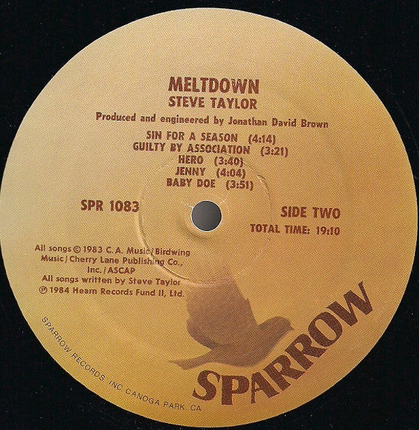Steve Taylor (2) : Meltdown (LP, Album)