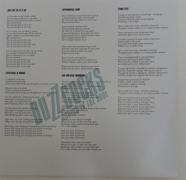 Buzzcocks : Sonics In The Soul (LP, Album, Tur)