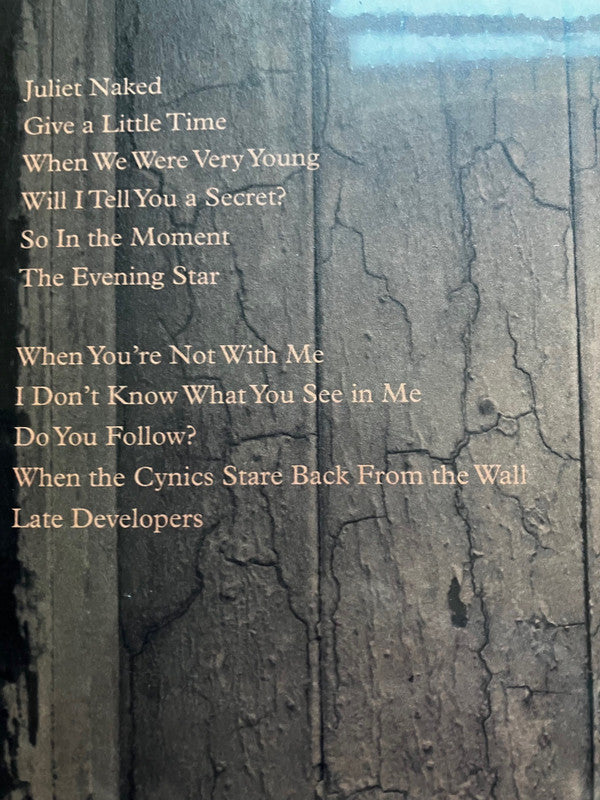 Belle & Sebastian : Late Developers (LP, Album, Opt)