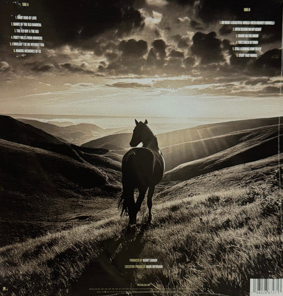 Willie Nelson : Oh What A Beautiful World (LP)