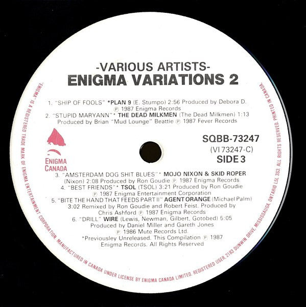Various : The Enigma Variations 2 (2xLP, Comp, gat)