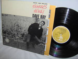 Dave Ray : Snaker's Here (LP, Album)