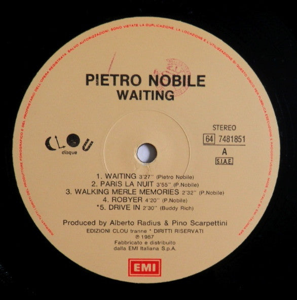 Pietro Nobile : Waiting (LP)