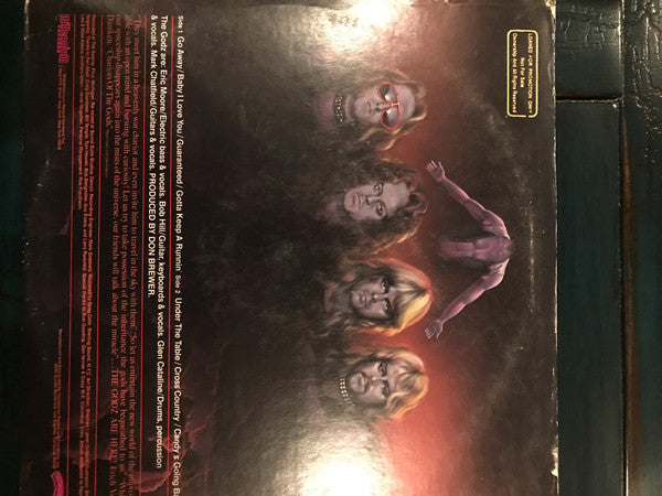 The Godz (2) : The Godz (LP, Promo)