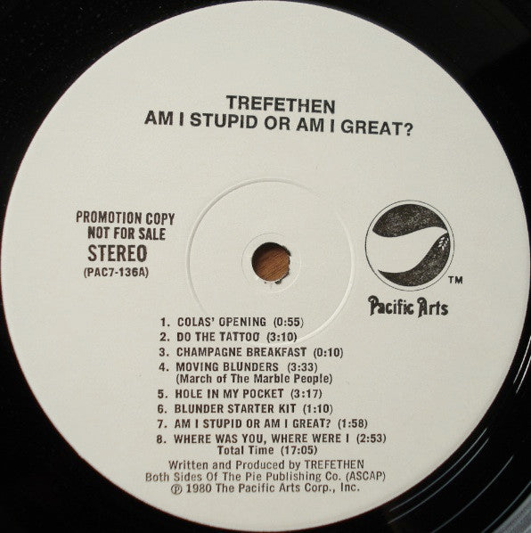 Tom Trefethen : Am I Stupid Or Am I Great? (LP, Album, Promo)