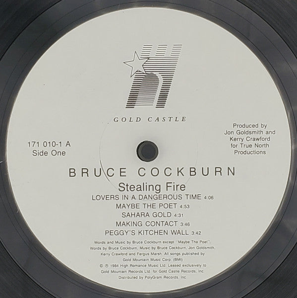 Bruce Cockburn : Stealing Fire (LP, Album, RE)