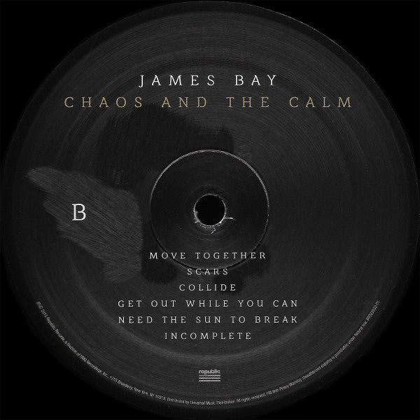 James Bay : Chaos And The Calm (LP, Album)