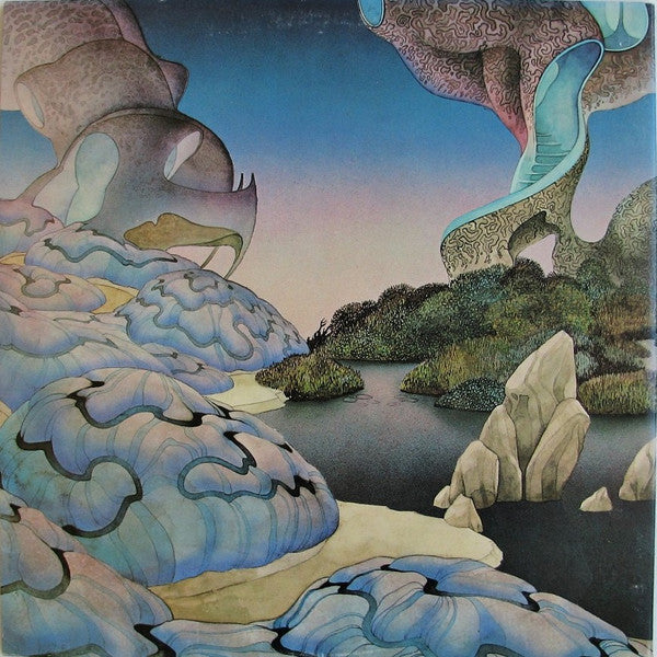 Steve Howe : Beginnings (LP, Album, Mon)