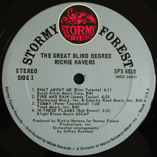 Richie Havens : The Great Blind Degree (LP, Album)