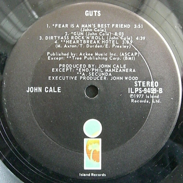 John Cale : Guts (LP, Comp, Ter)