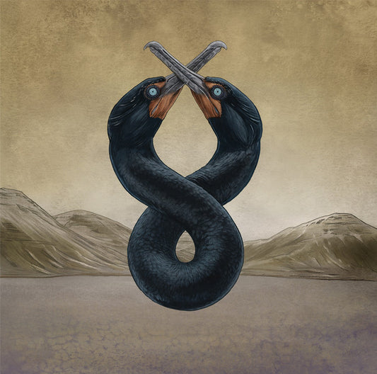 San Fermin : The Cormorant I & II (LP)