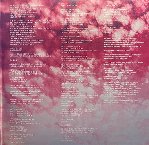 Strand Of Oaks : In Heaven (LP, Album, Pin)