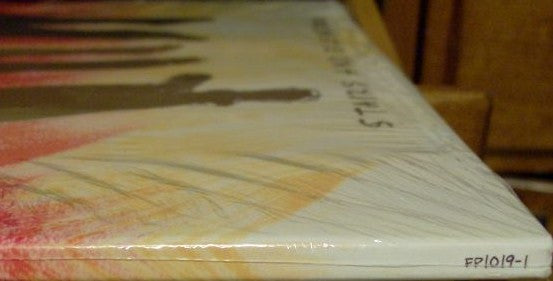 Heartless Bastards : Stairs And Elevators (LP, Album)