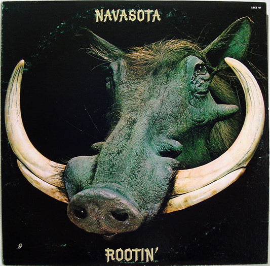 Navasota : Rootin' (LP, Album)