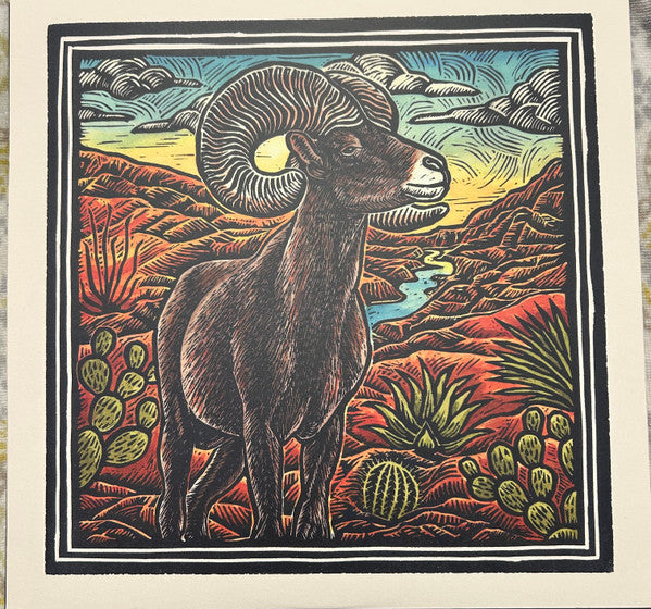Various : Texas Wild (LP, Album, Comp, Bioplastic, Dlx, Tex)