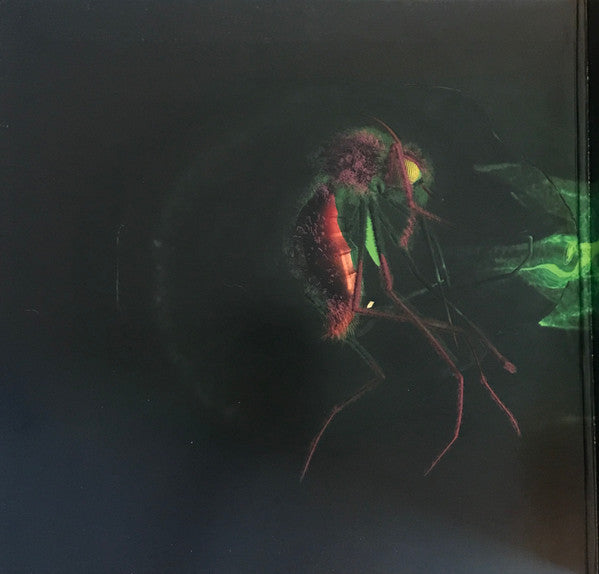 Yeah Yeah Yeahs : Mosquito (LP, Album)