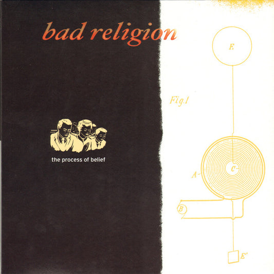 Bad Religion : The Process Of Belief (LP, Album, Gat)