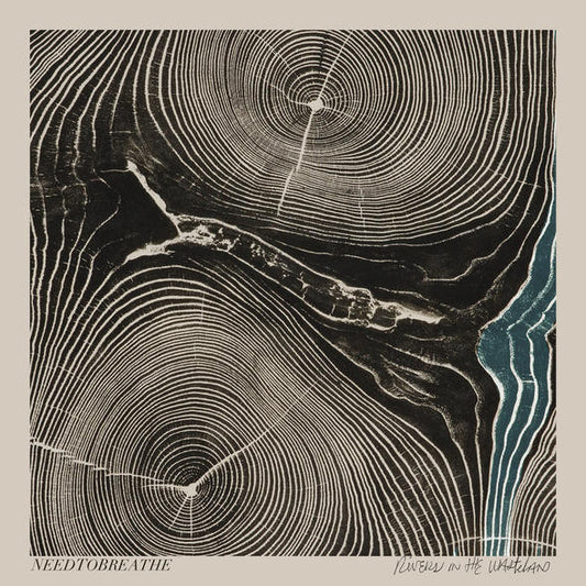 NEEDTOBREATHE : Rivers In The Wasteland (LP, Album)