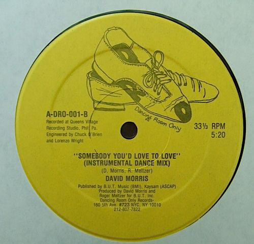 David Morris (3) : Somebody You'd Love To Love (12")