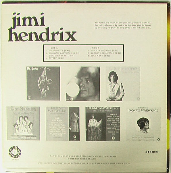 Jimi Hendrix : Jimi Hendrix (LP, Comp)