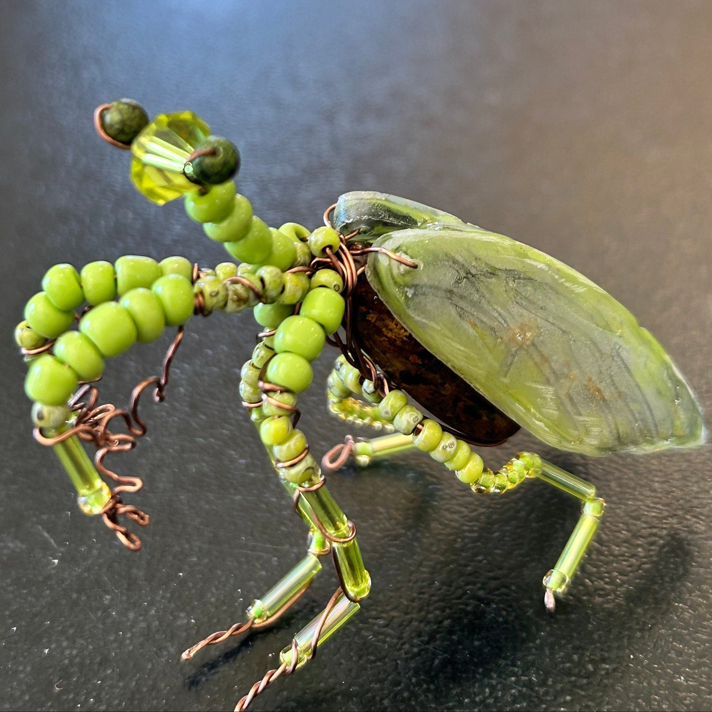 Wire Praying Mantis Class